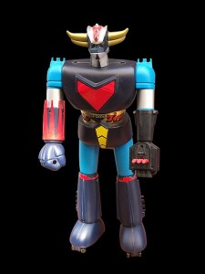 The Humanoid Robot