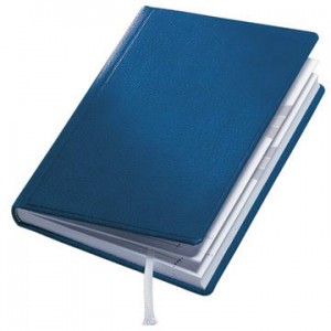 Blue Diary Notepad