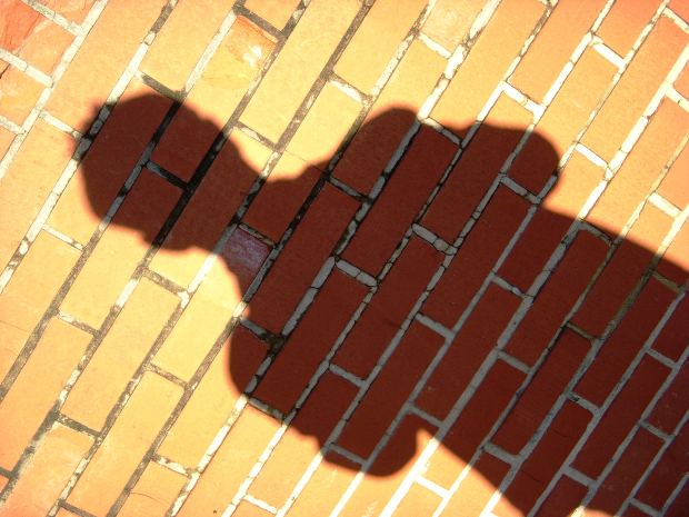 Man shadow on brick wall