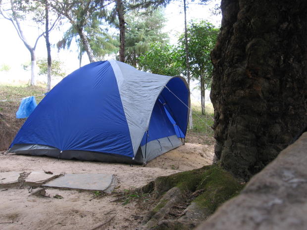 blue-camp-in-forest