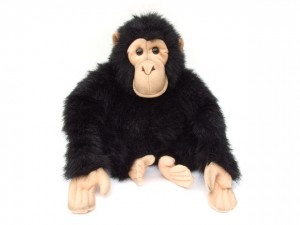 ape-monkey-kids-short-story